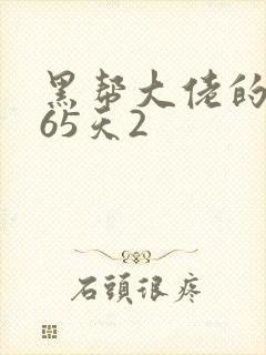 黑帮大佬的第365天2