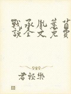 战承胤叶苜苜小说全文免费阅读