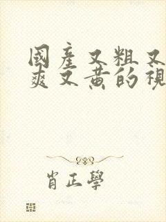 国产又粗又猛又爽又黄的视频69