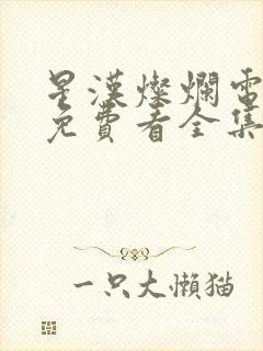 星汉灿烂电视剧免费看全集完整版