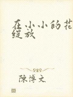 在小小的花蕾中绽放封面