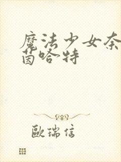 魔法少女奈叶艾茵哈特