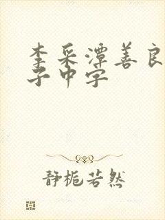 李采潭善良的嫂子中字封面