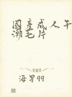 国产成人午夜高潮毛片