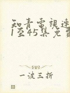 知青电视连续剧1至45集免费观看