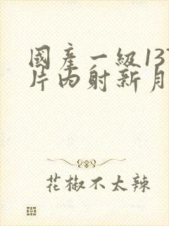 国产一级137片内射新月女