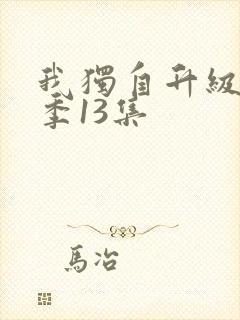 我独自升级第三季13集