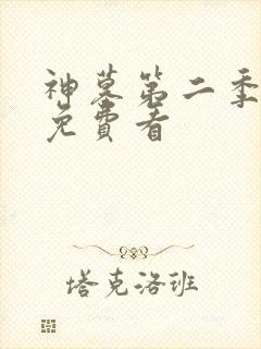 神墓第二季动漫免费看