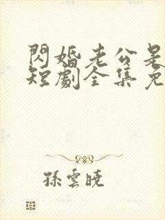 闪婚老公是总裁短剧全集免费观看