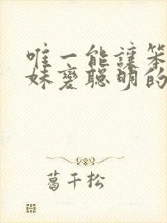 唯一能让笨蛋妹妹变聪明的方法只有我的封面