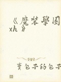 《魔装学园 hxh 》