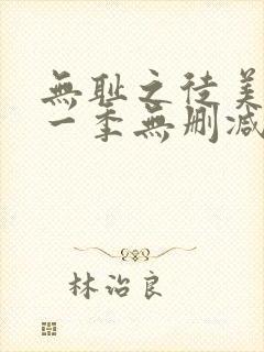 无耻之徒美版第一季无删减