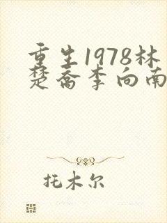 重生1978林楚乔李向南