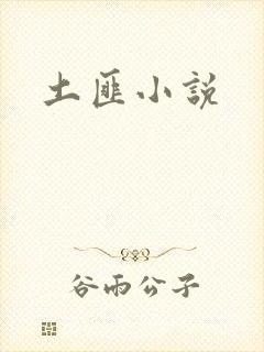 土匪小说