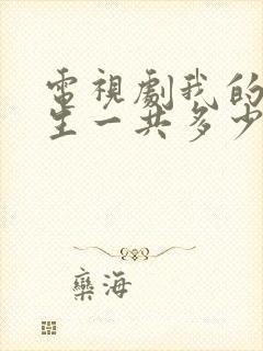 电视剧我的后半生一共多少集