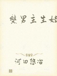 双男主生娃小说封面