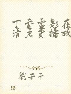 丁香电影在线高清免费播放电视剧