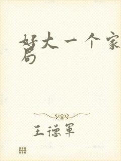 好大一个家大结局封面