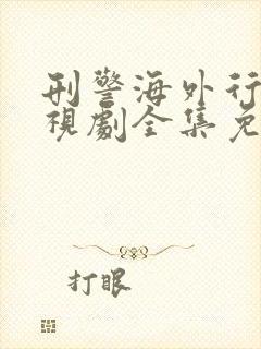 刑警海外行动电视剧全集免费观看封面