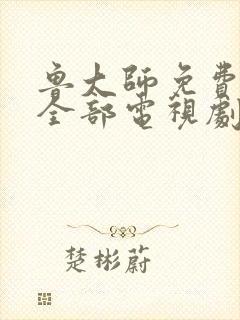 鲁大师免费观看全部电视剧