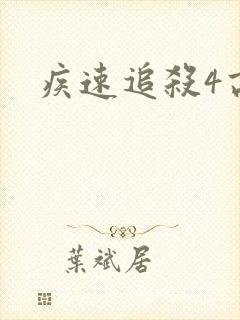 疾速追杀4高清