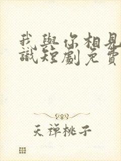 我与你相见不相识短剧免费观看全集封面