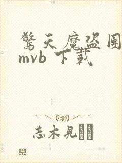 惊天魔盗团 rmvb 下载