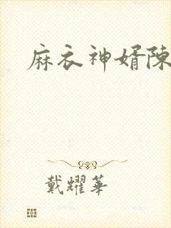 麻衣神婿陈黄皮