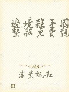 边境杀手国语完整版免费观看