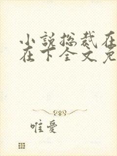 小说总裁在上我在下全文免费阅读封面