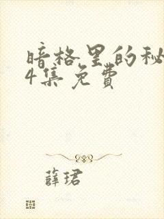 暗格里的秘密24集免费