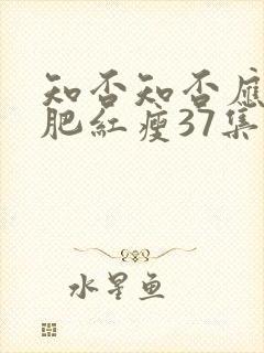 知否知否应是绿肥红瘦37集封面