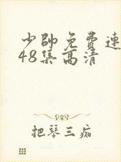 少帅免费连续剧48集高清