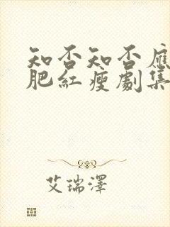 知否知否应是绿肥红瘦剧集简介封面