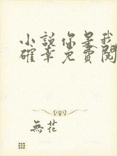 小说你是我的小确幸免费阅读