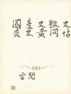 国产又粗又猛又爽又黄网站在线观看