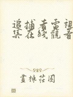 追捕者电视剧全集在线观看免费高清