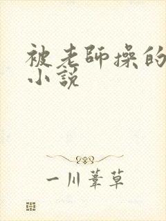 被老师操的好爽小说封面