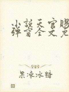 小说天官赐福无弹窗全文免费阅读