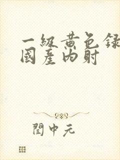 一级黄色录像片国产内射封面