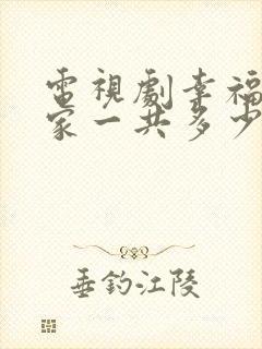 电视剧幸福到万家一共多少集啊