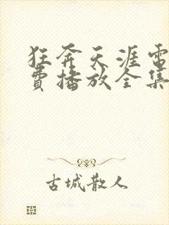 狂奔天涯电影免费播放全集