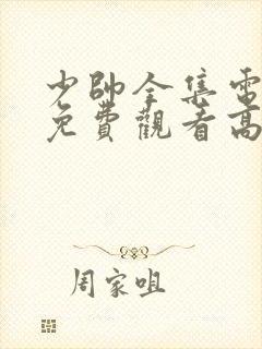 少帅全集电视剧免费观看高清