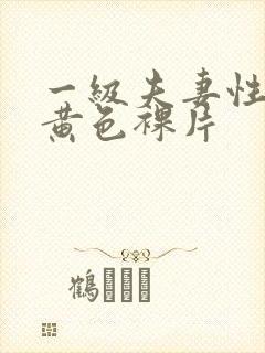 一级夫妻性生活黄色裸片