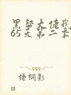 黑帮大佬我的365天第二季在线观看封面