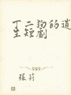 丁二狗的逍遥人生短剧