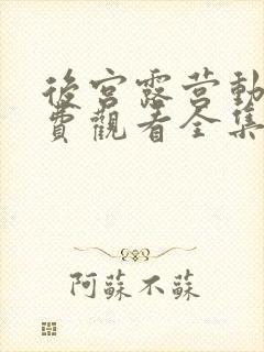 后宫露营动漫免费观看全集完整版