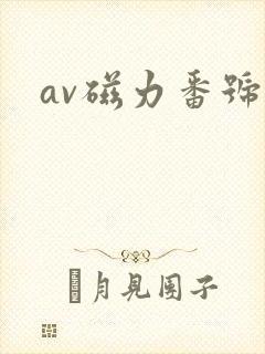 av磁力番号网