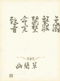 致命关系免费观看完整版国语高清