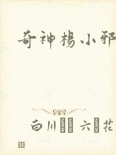 奇神杨小邪封面